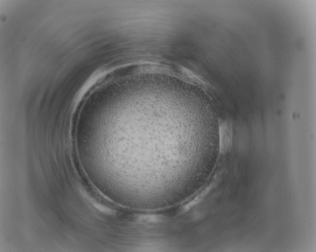 X0000076420195200610202228