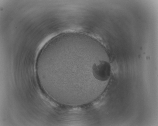 X0000076420196200610202228