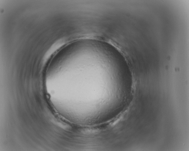 X0000076420198200610202228