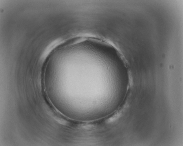 X0000076420199200610202228