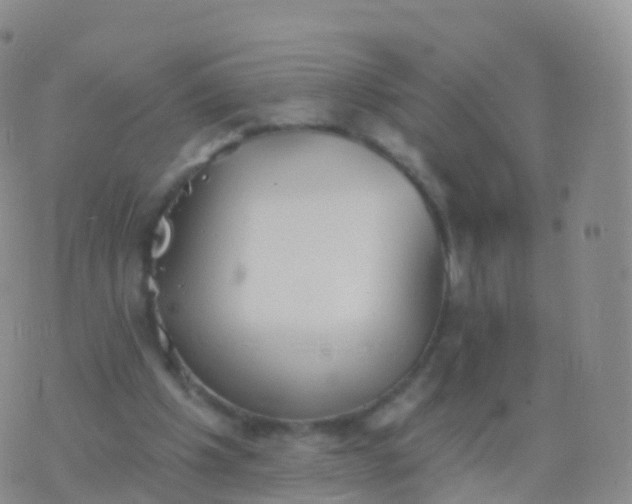 X0000076420201200610202228