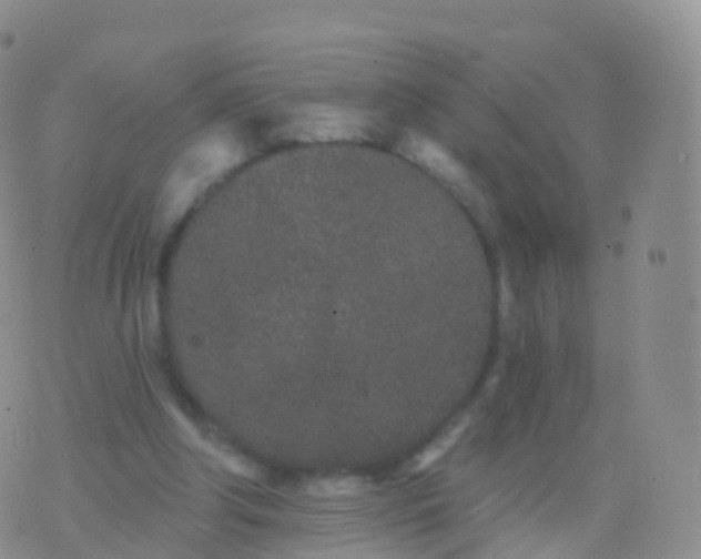 X0000076420202200610202228