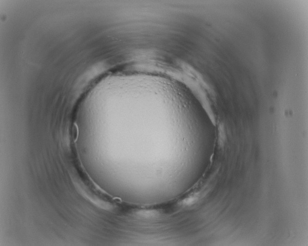 X0000076420203200610202228