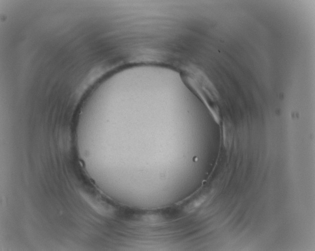 X0000076420204200610202228