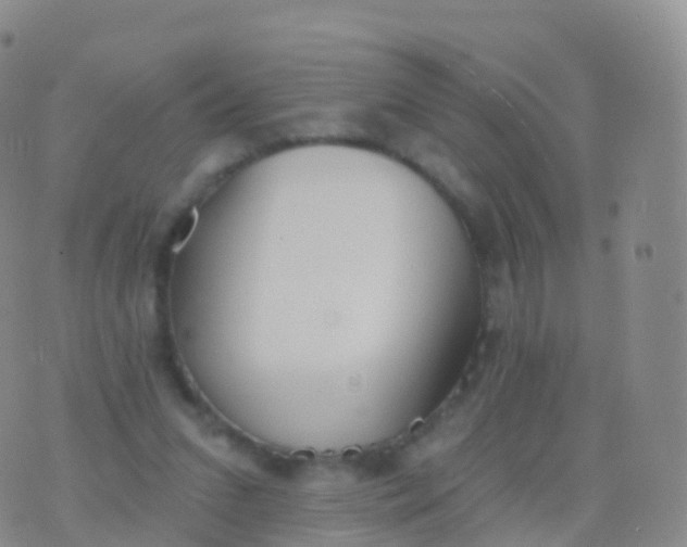 X0000076420207200610202228