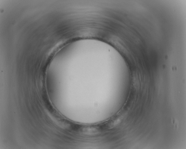 X0000076420208200610202228