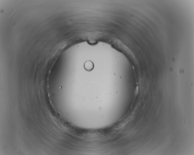 X0000076420209200610202228