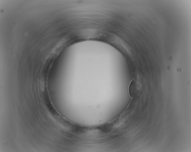 X0000076420210200610202228