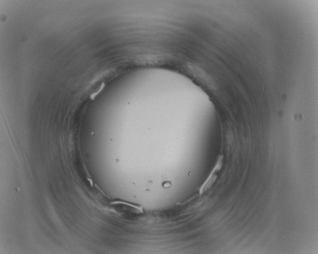 X0000076420211200610202228