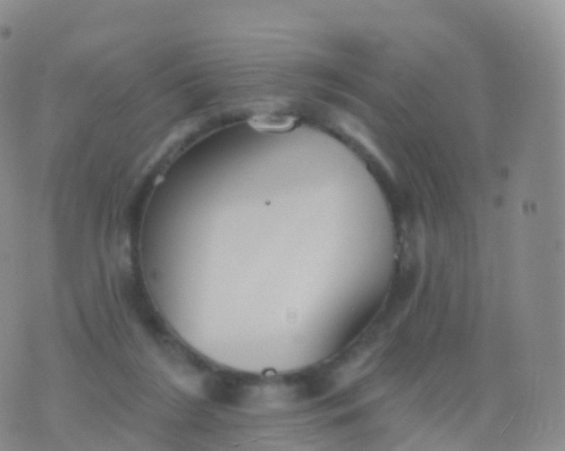 X0000076420212200610202228