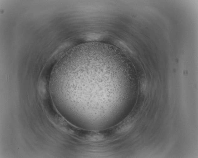 X0000076420215200610202228