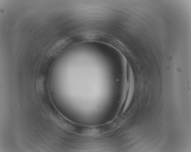 X0000076420217200610202228