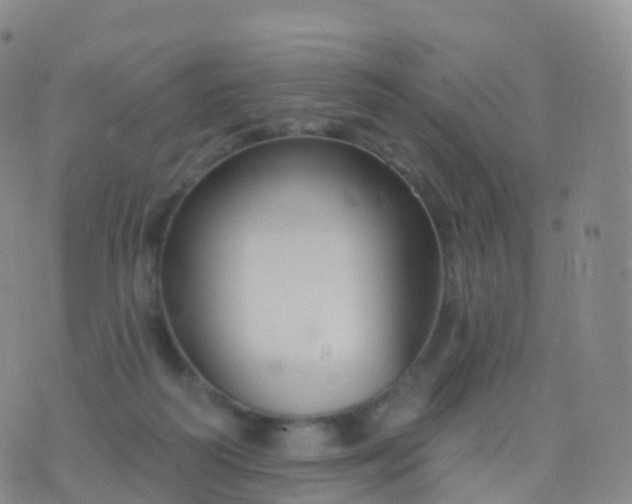 X0000076420218200610202228