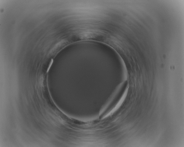 X0000076420219200610202228