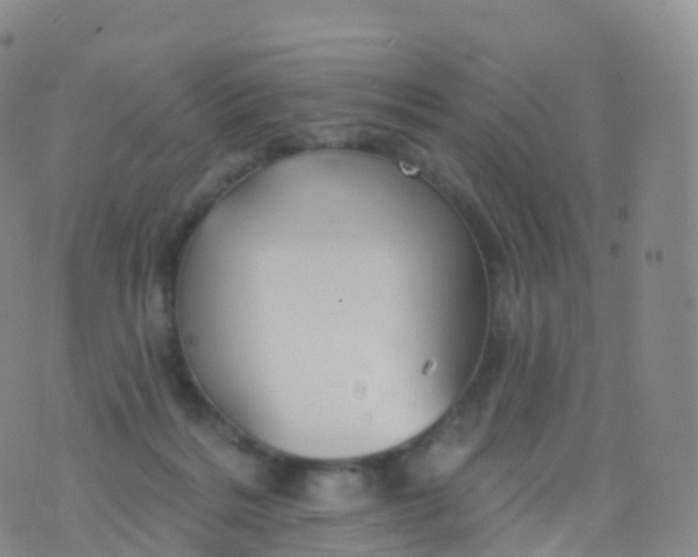 X0000076420220200610202228