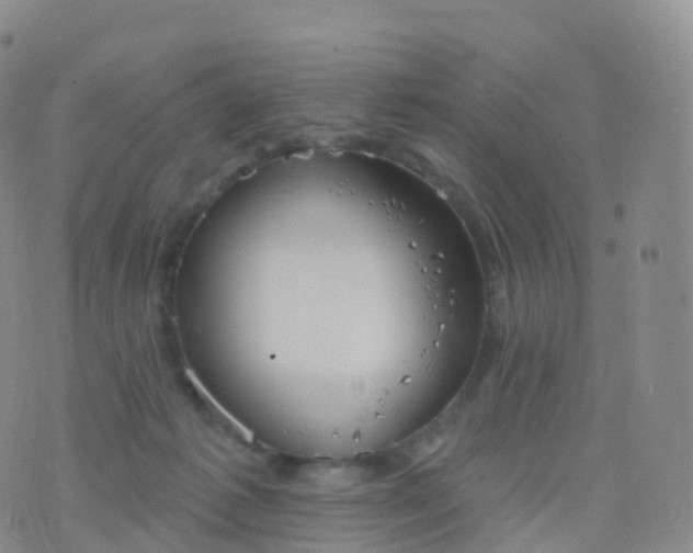 X0000076420221200610202228