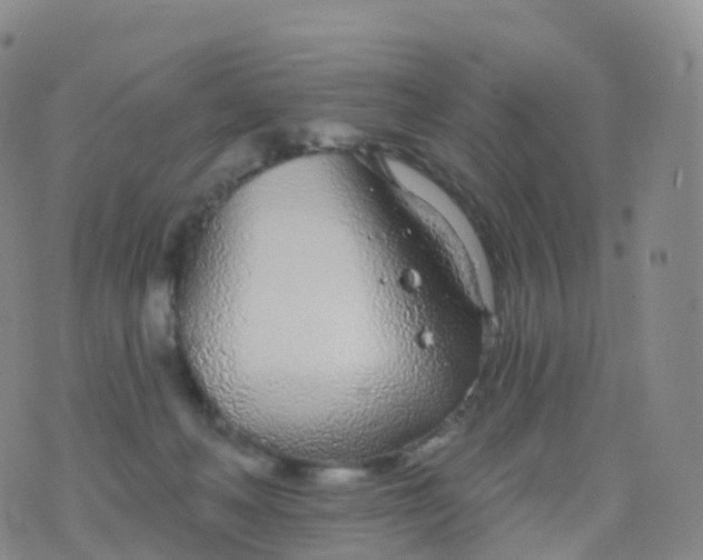 X0000076420222200610202228