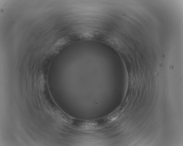 X0000076420223200610202228