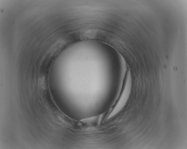 X0000076420224200610202228