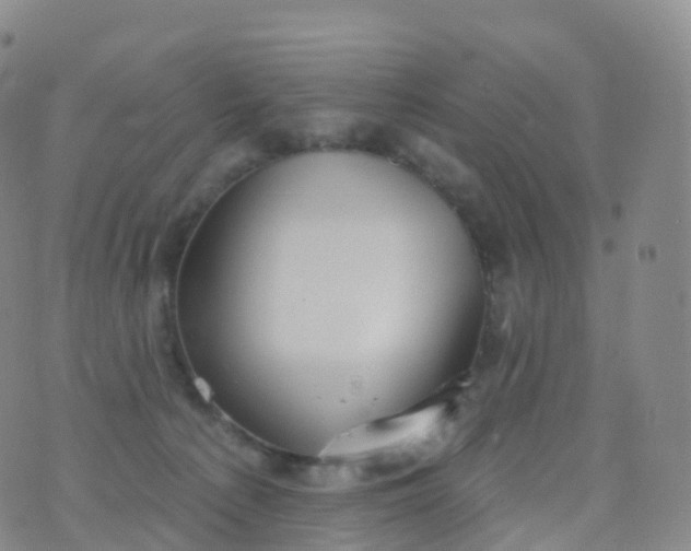 X0000076420225200610202228