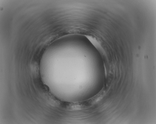 X0000076420228200610202228