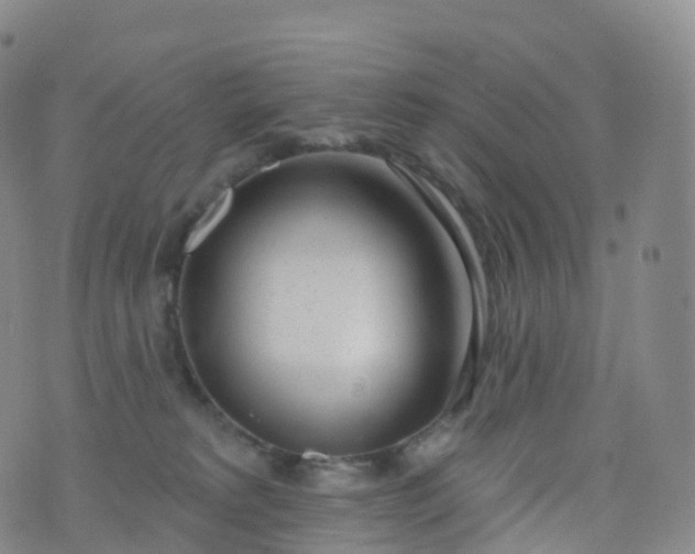 X0000076420229200610202228