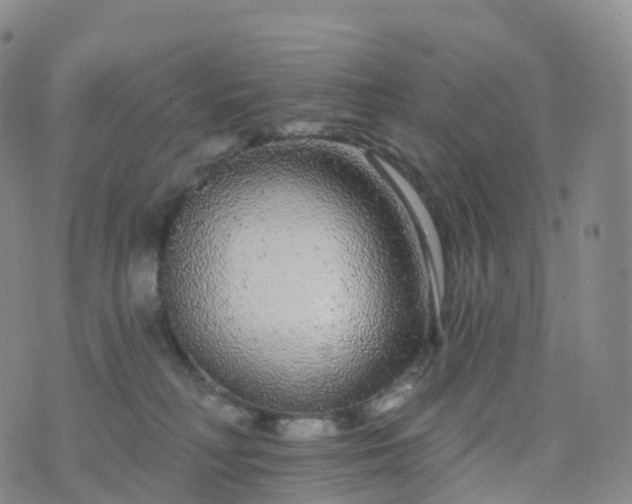 X0000076420230200610202228