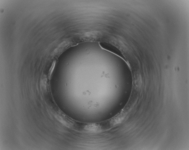 X0000076420231200610202228