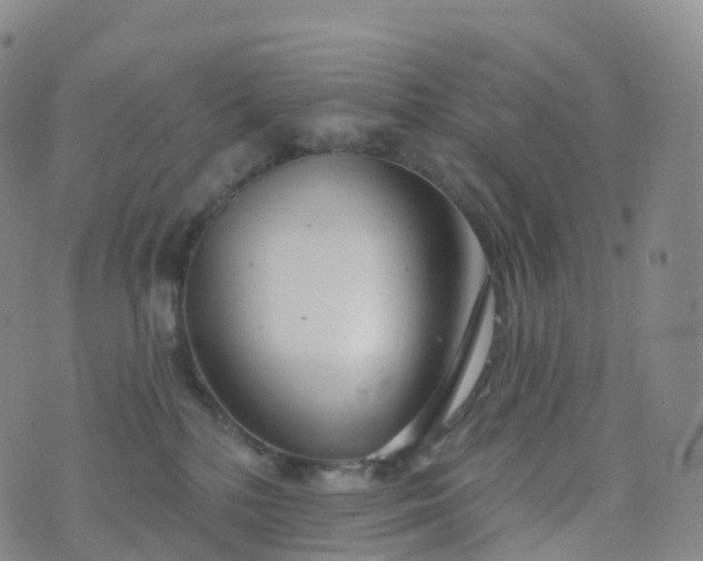 X0000076420232200610202228