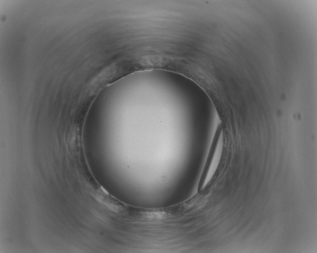 X0000076420233200610202228