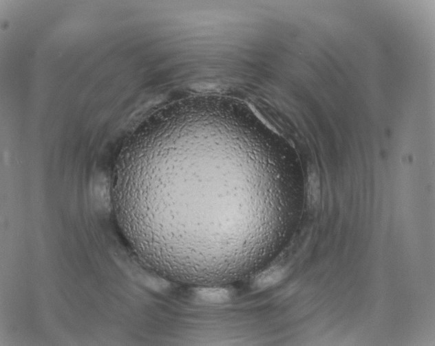 X0000076420234200610202228