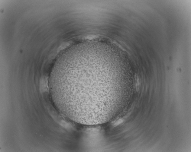 X0000076420236200610202228