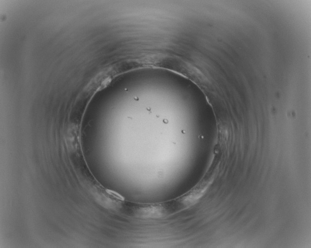 X0000076420237200610202228