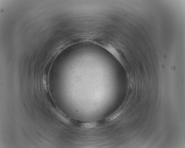 X0000076420238200610202228