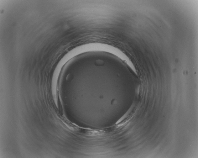 X0000076420239200610202228