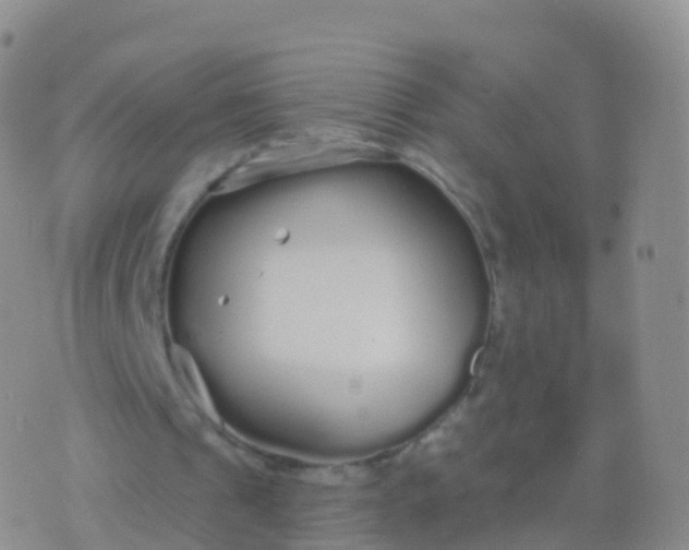 X0000076420241200610202227