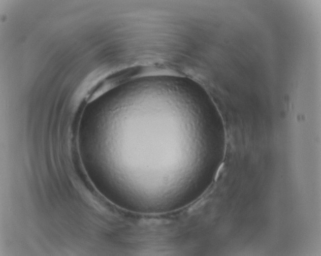 X0000076420242200610202227