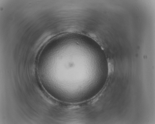 X0000076420243200610202227