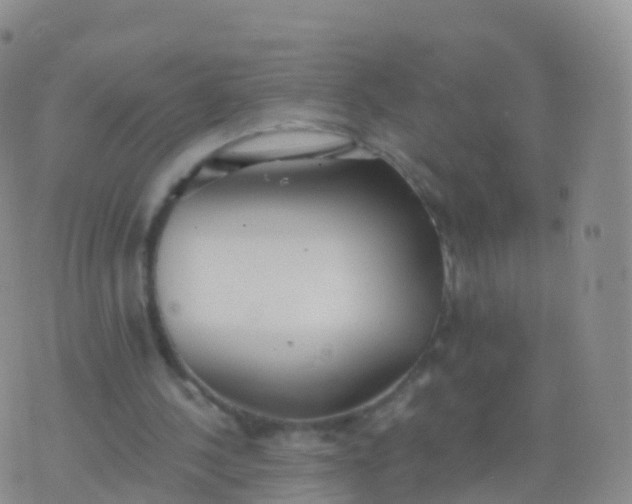 X0000076420244200610202227