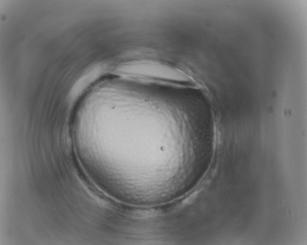 X0000076420245200610202227