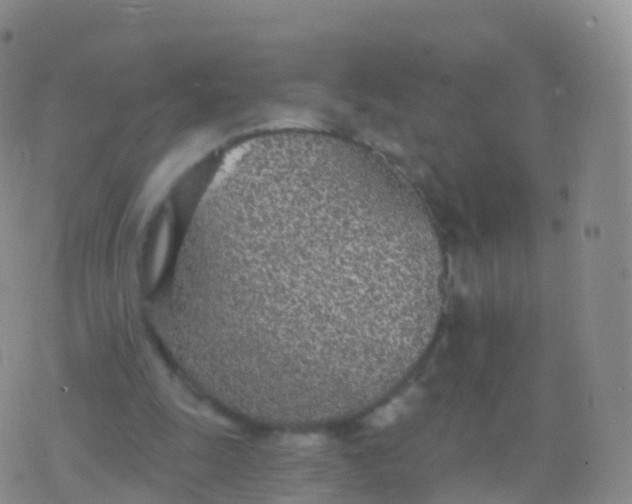 X0000076420247200610202227