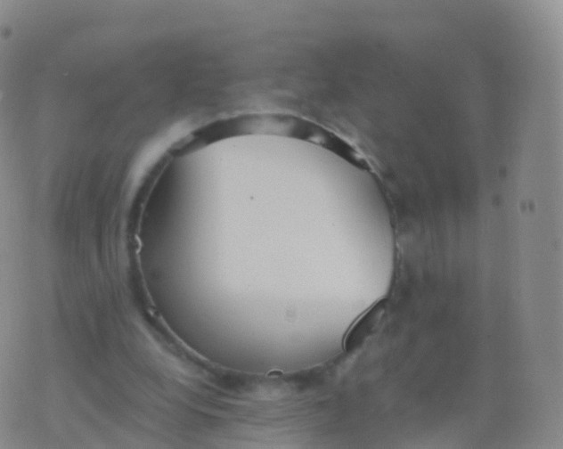 X0000076420248200610202227