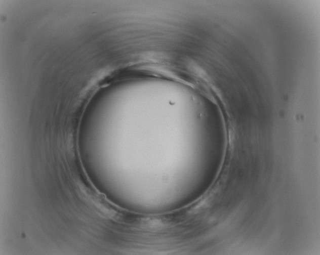 X0000076420249200610202227