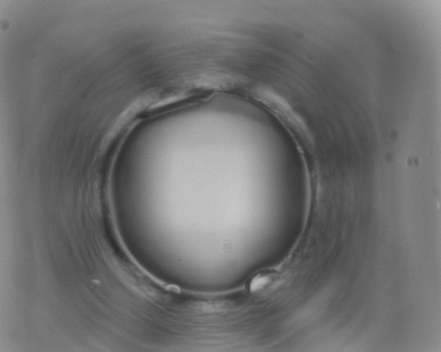 X0000076420250200610202227