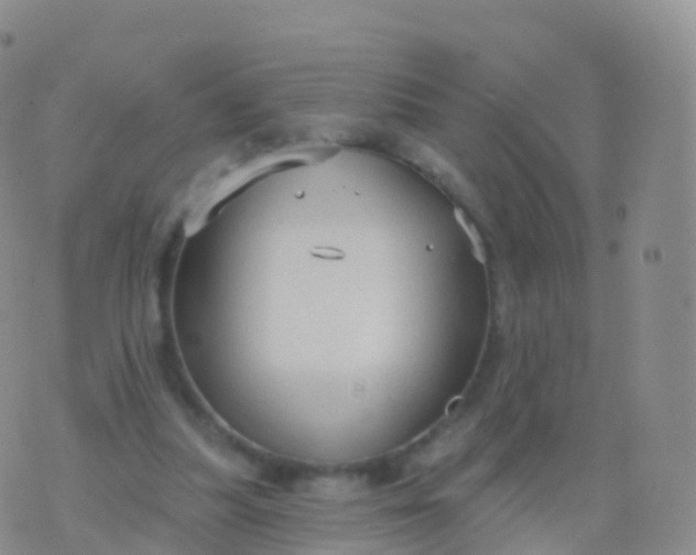 X0000076420251200610202227