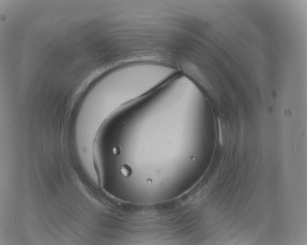 X0000076420252200610202227