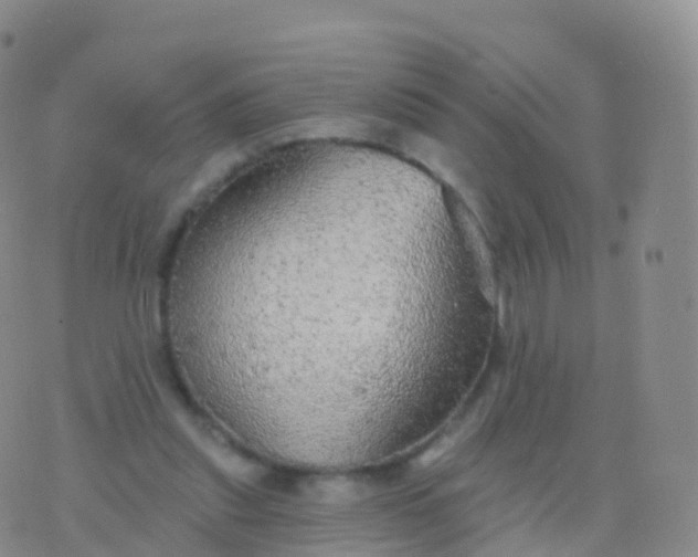 X0000076420253200610202227