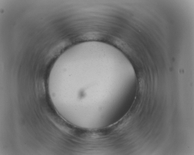 X0000076420254200610202227