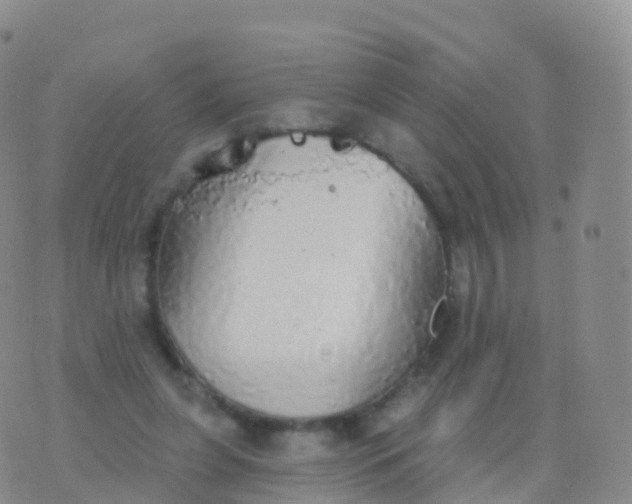 X0000076420255200610202227