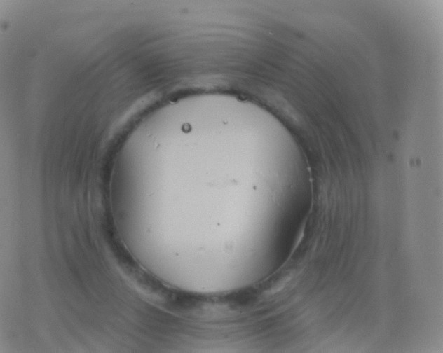 X0000076420256200610202227